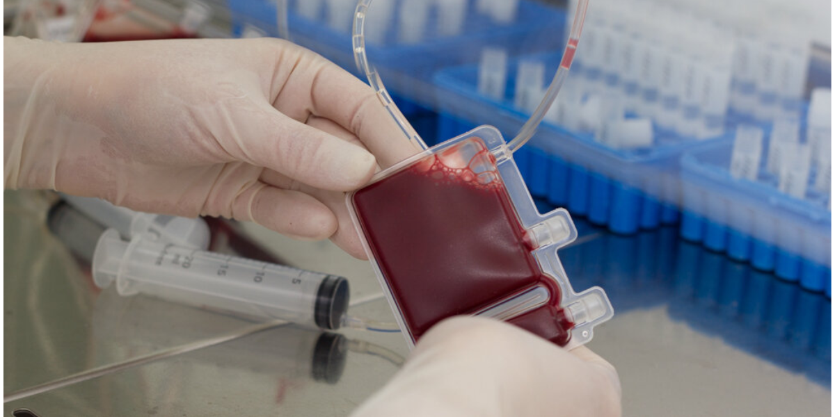 Вопросы клиентов Гемабанка: что происходит с образцом спустя годы хранения?