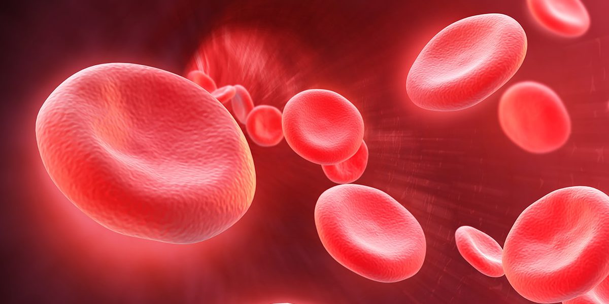 Число трансплантаций гемопоэтических стволовых клеток превысило 1,5 млн